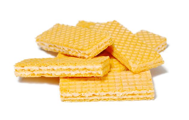 wafer biscuit machinery