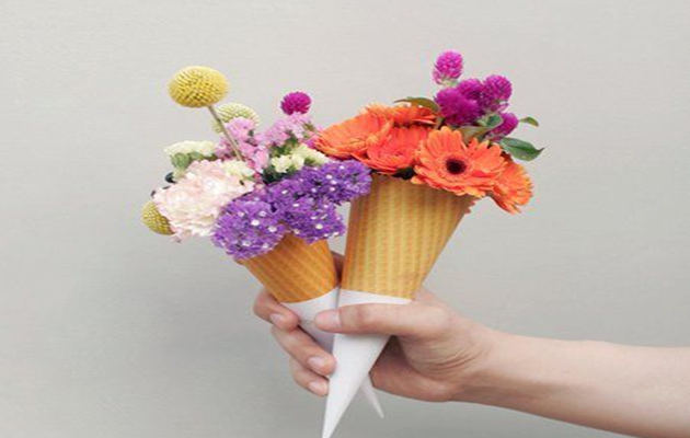 Do You Know the Ice Cream Cone Plants