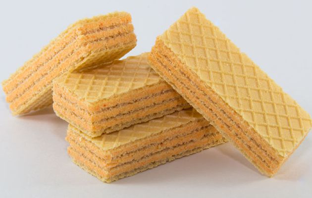 wafer biscuit machine