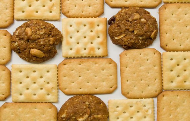biscuit biscuit